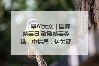 早AI大众｜国际禁毒日 致敬禁毒英雄；中情局：伊关键核设施被摧毁