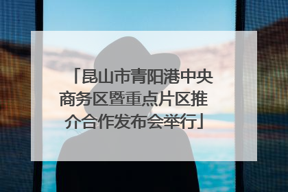 昆山市青阳港中央商务区暨重点片区推介合作发布会举行
