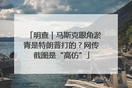 明查｜马斯克眼角淤青是特朗普打的？网传截图是“高仿”