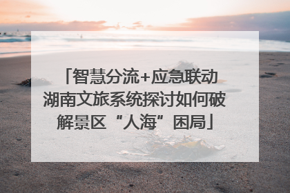 智慧分流+应急联动 湖南文旅系统探讨如何破解景区“人海”困局