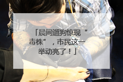 晨间遛狗惊现“毒株”，市民这一举动亮了！