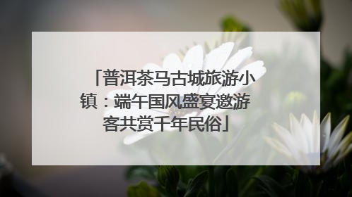 普洱茶马古城旅游小镇：端午国风盛宴邀游客共赏千年民俗