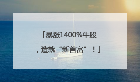 暴涨1400%牛股，造就“新首富”！