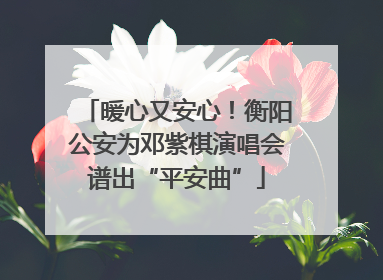 暖心又安心！衡阳公安为邓紫棋演唱会谱出“平安曲”