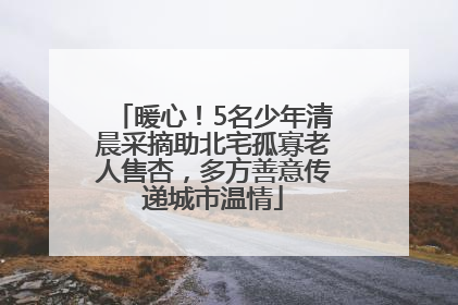 暖心！5名少年清晨采摘助北宅孤寡老人售杏，多方善意传递城市温情