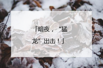 暗夜，“猛龙”出击！