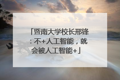 暨南大学校长邢锋：不+人工智能，就会被人工智能+