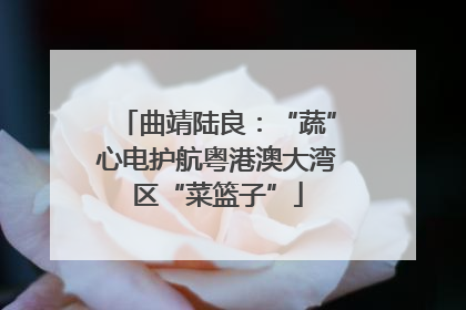 曲靖陆良：“蔬”心电护航粤港澳大湾区“菜篮子”