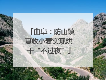 曲阜：防山镇夏收小麦实现烘干“不过夜”
