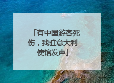 有中国游客死伤，我驻意大利使馆发声