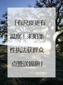 有尺度更有温度！耒阳柔性执法获群众点赞送锦旗