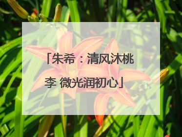 朱希：清风沐桃李 微光润初心