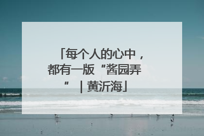 每个人的心中，都有一版“酱园弄”｜黄沂海