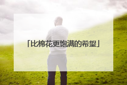 比棉花更饱满的希望