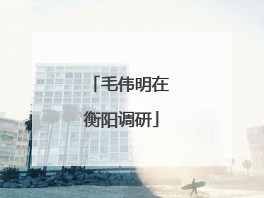 毛伟明在衡阳调研