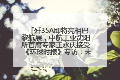 歼35A即将亮相巴黎航展，中航工业沈阳所首席专家王永庆接受《环球时报》专访：未来数量可以有很多