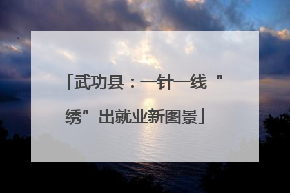 武功县：一针一线“绣”出就业新图景
