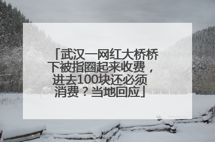 武汉一网红大桥桥下被指圈起来收费，进去100块还必须消费？当地回应
