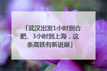 武汉出发1小时到合肥、3小时到上海，这条高铁有新进展