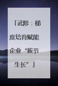 武陟：梯度培育赋能企业“拔节生长”