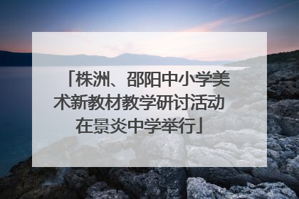 株洲、邵阳中小学美术新教材教学研讨活动在景炎中学举行