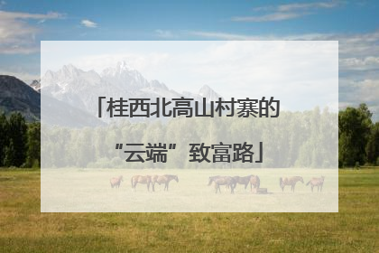 桂西北高山村寨的“云端”致富路