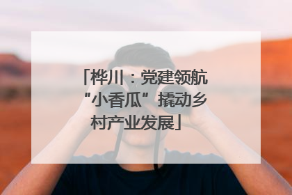 桦川：党建领航“小香瓜”撬动乡村产业发展