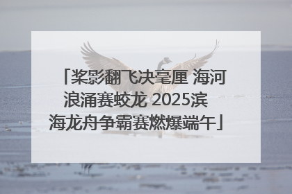 桨影翻飞决毫厘 海河浪涌赛蛟龙 2025滨海龙舟争霸赛燃爆端午