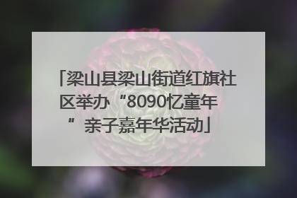 梁山县梁山街道红旗社区举办“8090忆童年”亲子嘉年华活动