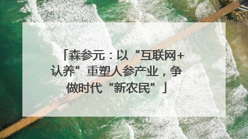 森参元：以“互联网+认养”重塑人参产业，争做时代“新农民”