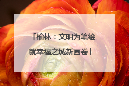 榆林：文明为笔绘就幸福之城新画卷