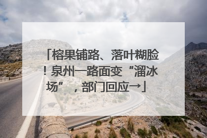 榕果铺路、落叶糊脸！泉州一路面变“溜冰场”，部门回应→