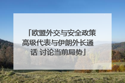 欧盟外交与安全政策高级代表与伊朗外长通话 讨论当前局势