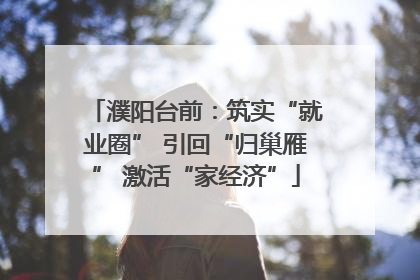 濮阳台前：筑实“就业圈” 引回“归巢雁” 激活“家经济”