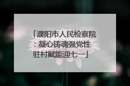濮阳市人民检察院：凝心铸魂强党性 驻村赋能迎七一