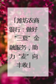 潍坊农商银行：做好“三夏”金融服务，助力“麦”向丰收
