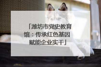 潍坊市党史教育馆：传承红色基因 赋能企业实干