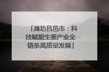 潍坊昌邑市：科技赋能生姜产业全链条高质量发展