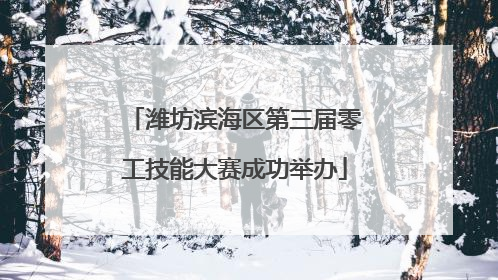 潍坊滨海区第三届零工技能大赛成功举办