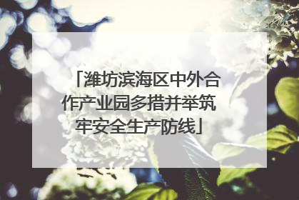 潍坊滨海区中外合作产业园多措并举筑牢安全生产防线
