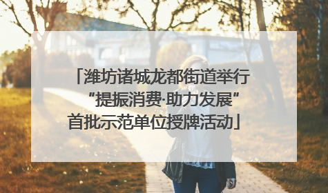 潍坊诸城龙都街道举行“提振消费·助力发展”首批示范单位授牌活动