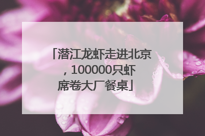潜江龙虾走进北京，100000只虾席卷大厂餐桌