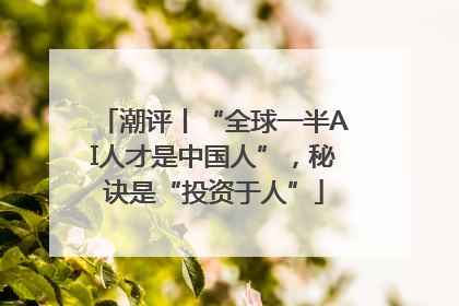 潮评丨“全球一半AI人才是中国人”，秘诀是“投资于人”