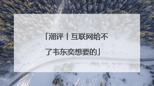潮评丨互联网给不了韦东奕想要的