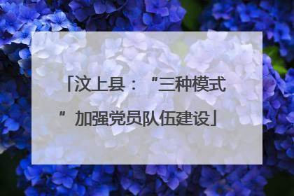 汶上县：“三种模式”加强党员队伍建设