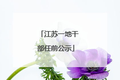 江苏一地干部任前公示