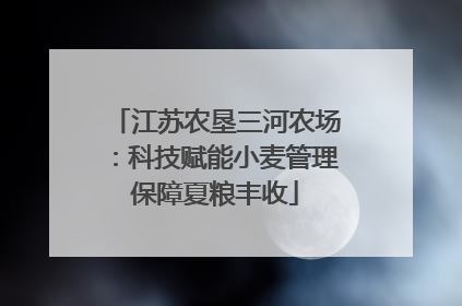 江苏农垦三河农场：科技赋能小麦管理保障夏粮丰收