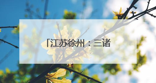 江苏徐州：三诸侯文化园，大运河畔历史明珠，汉文化寻根之地