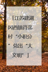 江苏建湖冈西镇肖荡村“小积分”兑出“大文明”