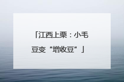 江西上栗：小毛豆变“增收豆”
